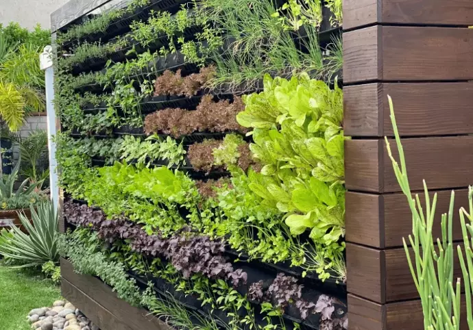 vertical garden ideas