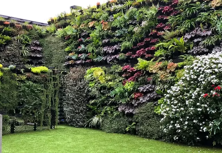 vertical garden ideas