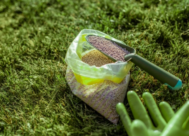 types of plant fertilizers