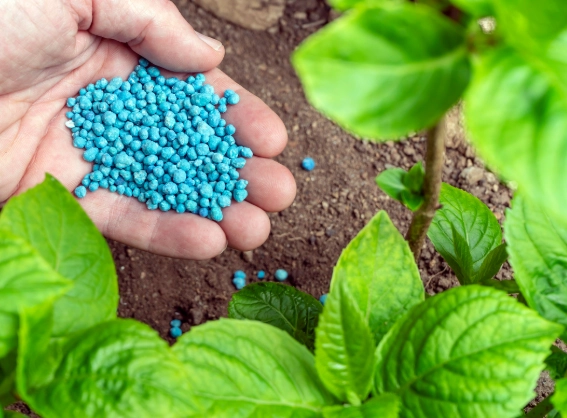 types of plant fertilizers
