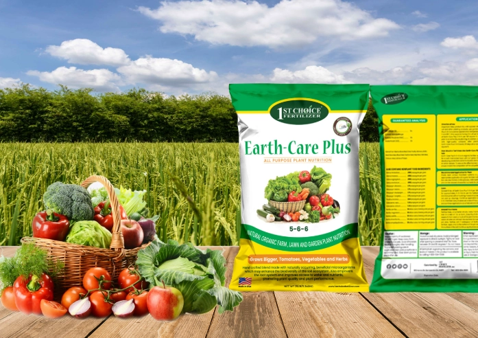 how to fertilize plants