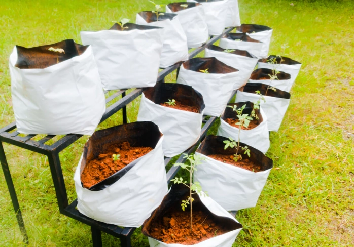 potting mix for grow bags potting mix for grow bags