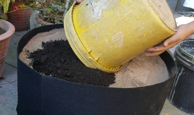 potting mix for grow bags potting mix for grow bags