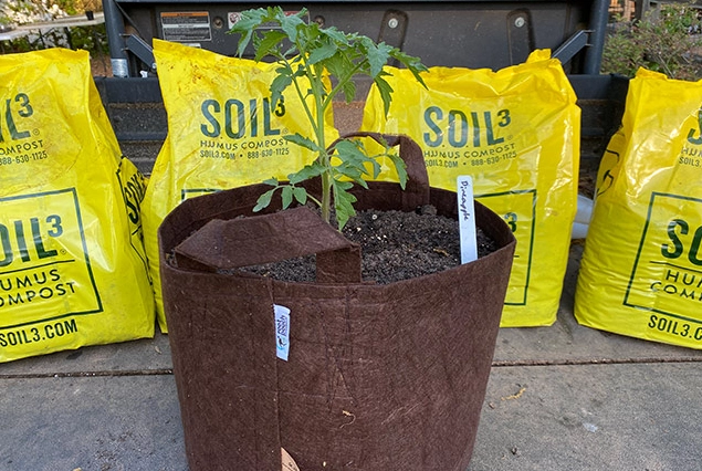 best soil for grow bags best soil for grow bags