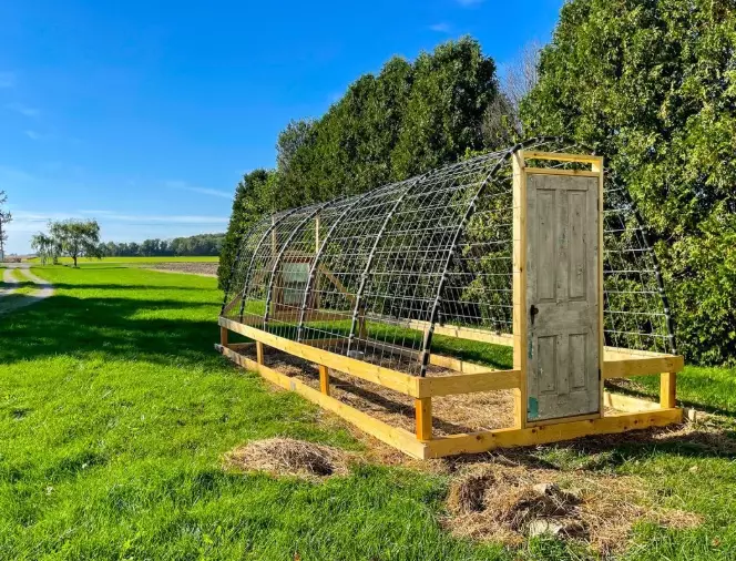 steel cattle panels steel cattle panels