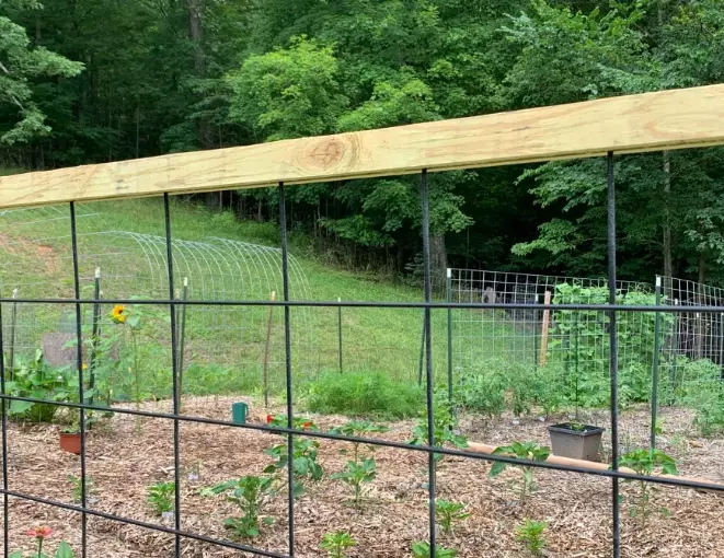 steel cattle panels steel cattle panels