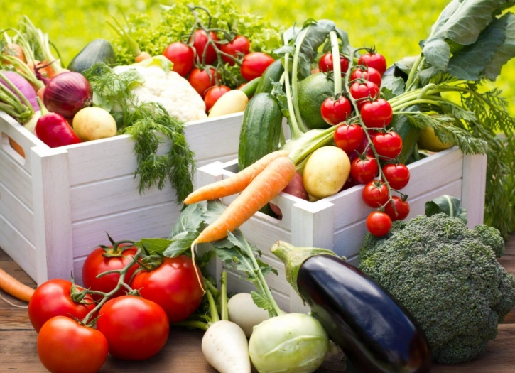 best vegetables to grow