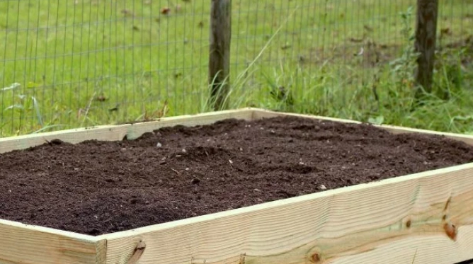 best raised garden beds