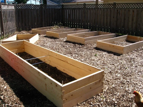 vegetable garden planning