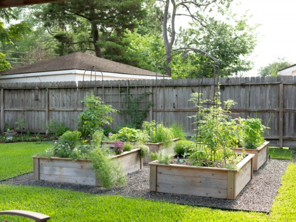 raised bed layout
