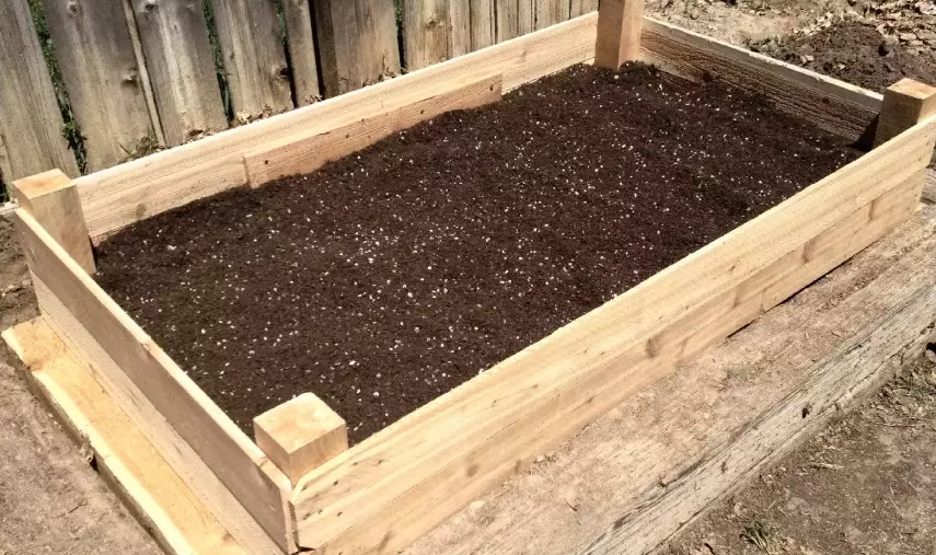 best soil mix for raised bed