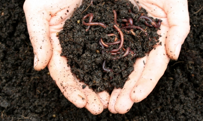 vermicompost benefits