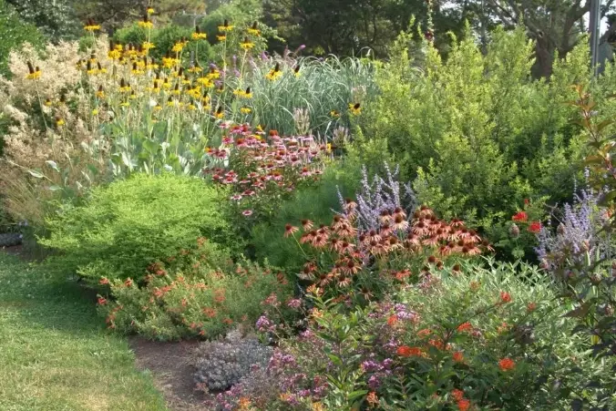 how to start a native garden how to start a native garden