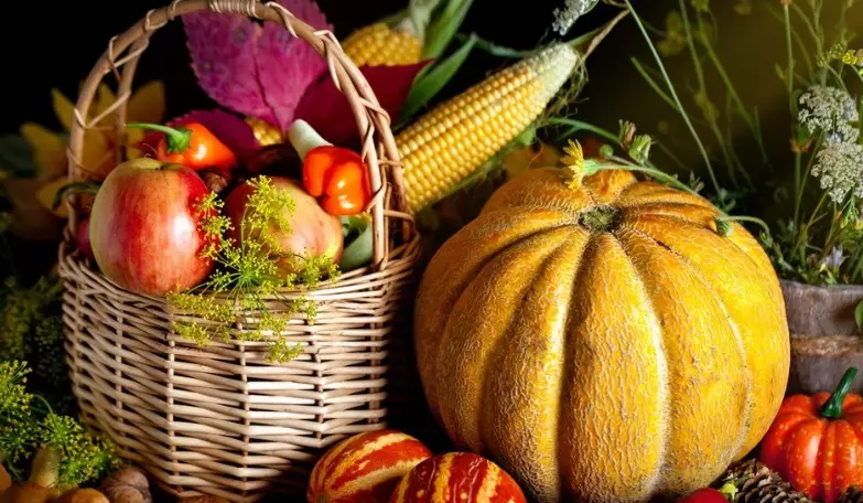 best time to harvest fruit best time to harvest fruit