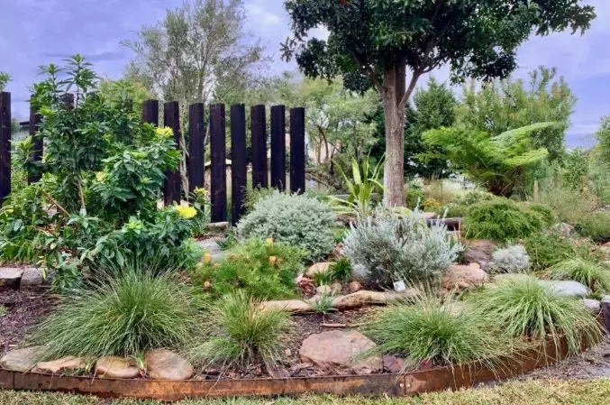 benefits of native plants benefits of native plants