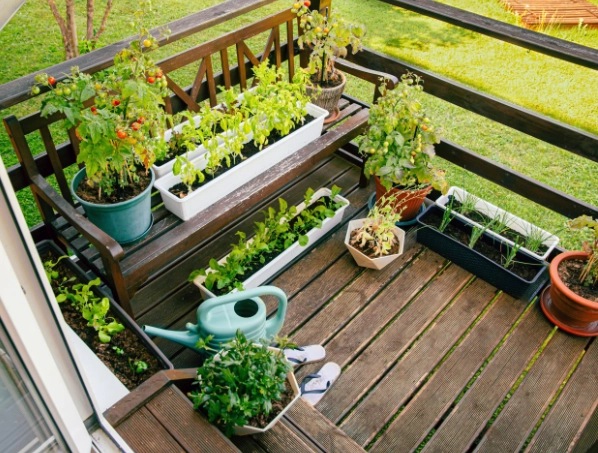 small space gardening