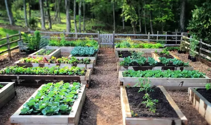 raised bed vegetable garden plans