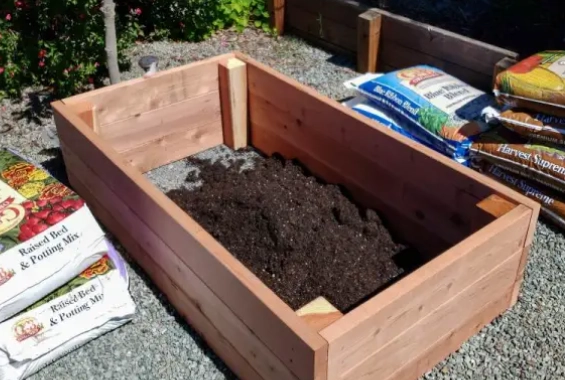 raised bed soil mistakes raised bed soil mistakes