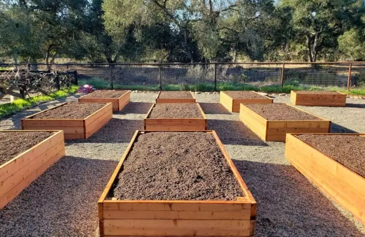 raised bed gardening tips raised bed gardening tips