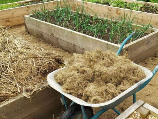 raised bed gardening tips raised bed gardening tips