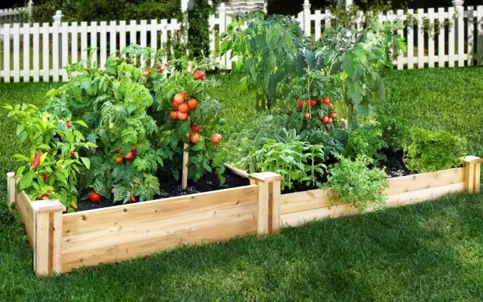 how to build a raised garden bed how to build a raised garden bed