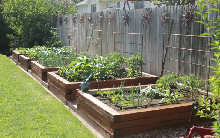 how to plan a raised bed vegetable garden