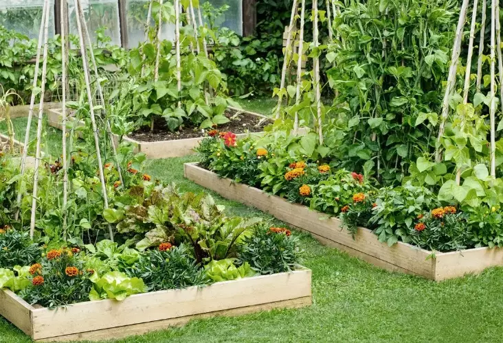 ideal depth for raised garden ideal depth for raised garden
