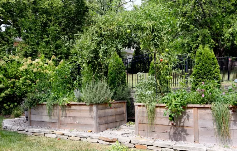 what not to fill raised beds with what not to fill raised beds with