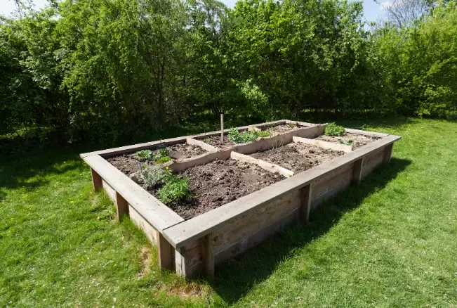 best soil for raised beds best soil for raised beds