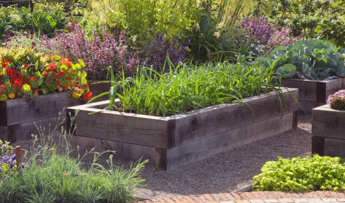 what not to fill raised beds with what not to fill raised beds with