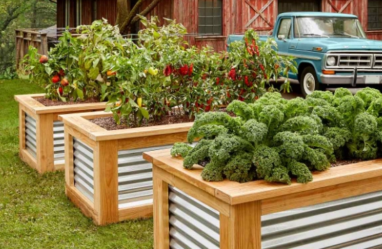 raised bed gardening on a budget raised bed gardening on a budget