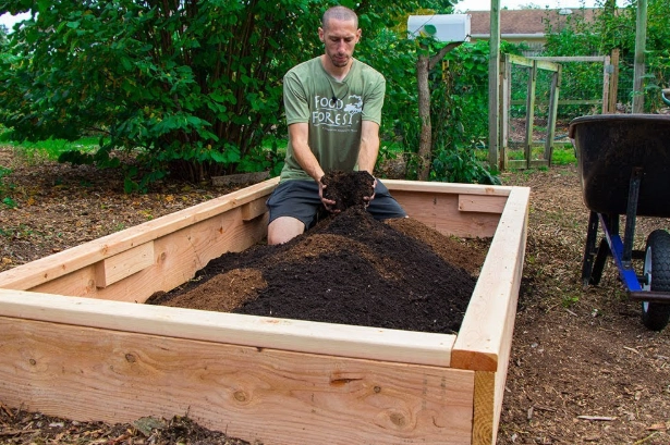 DIY raised garden bed cost DIY raised garden bed cost