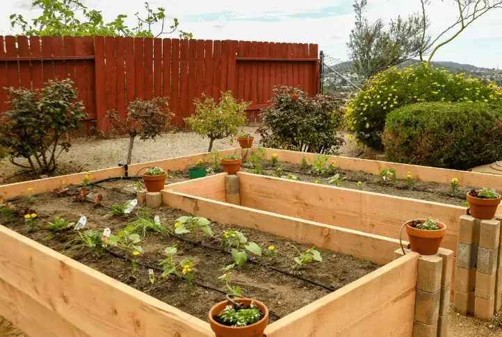 DIY raised garden bed cost DIY raised garden bed cost