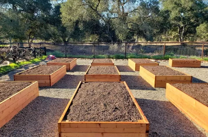 garden soil vs raised bed soil
