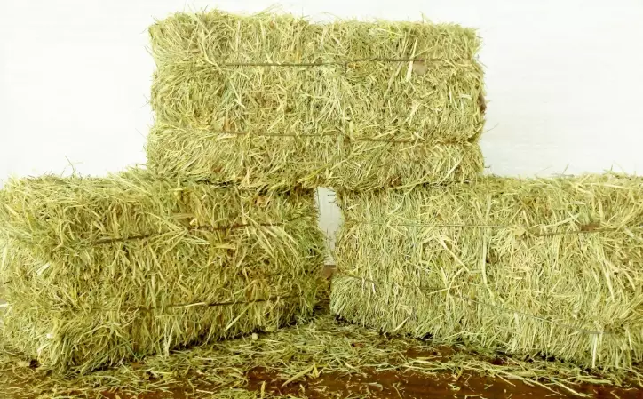 how to use hay bales how to use hay bales