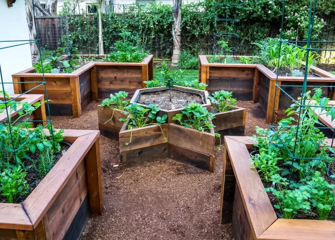 raised garden beds