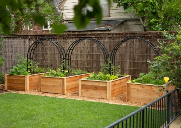 raised bed garden