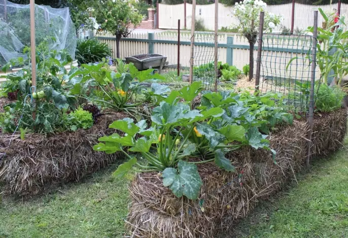 how to use hay bales how to use hay bales