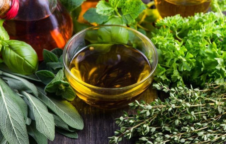 how to grow aromatic plants