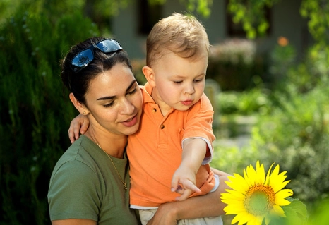 child safe indoor plants child safe indoor plants
