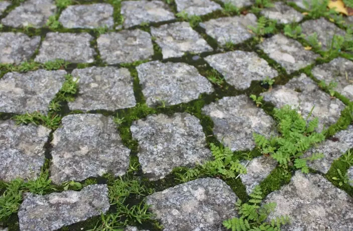 70 30 rule gardening