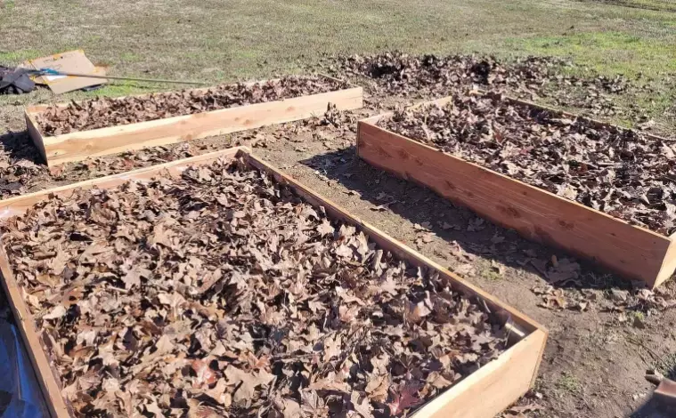 what not to put in raised garden bed what not to put in raised garden bed