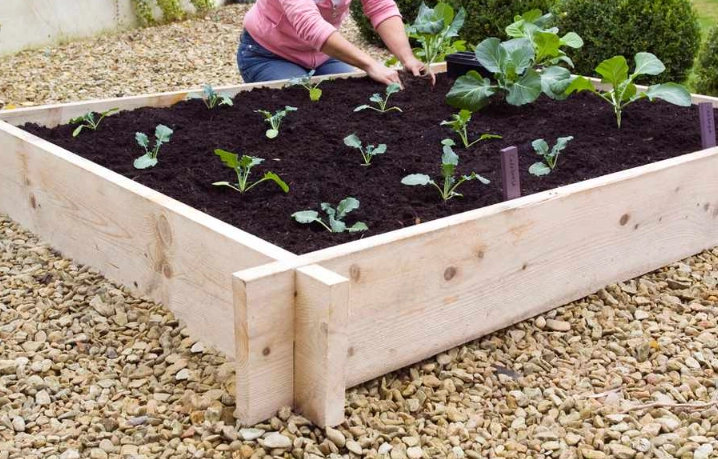 how to build a raised garden bed