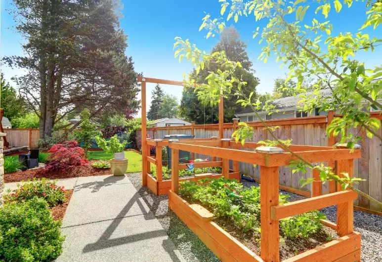 disadvantages of raised garden beds