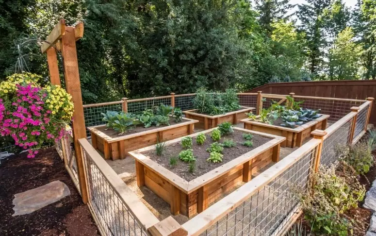 how to build a raised garden bed