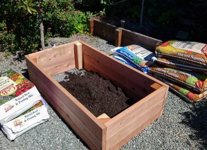 raised bed soil mistakes raised bed soil mistakes