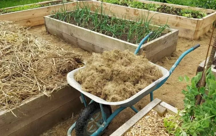 bad soil for garden beds bad soil for garden beds