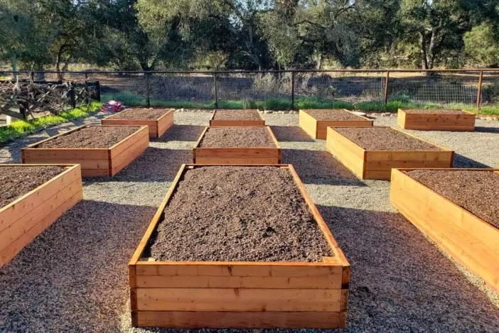 what not to put in raised garden bed what not to put in raised garden bed