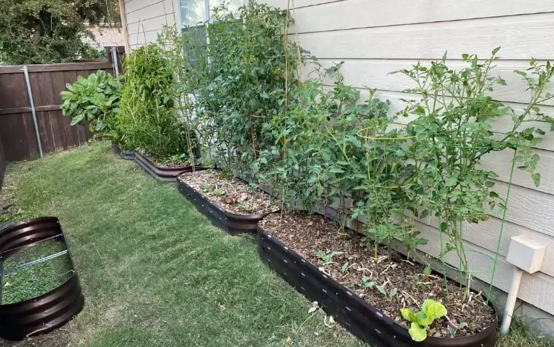 cons of raised garden beds