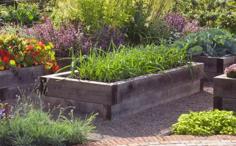 bad soil for garden beds bad soil for garden beds